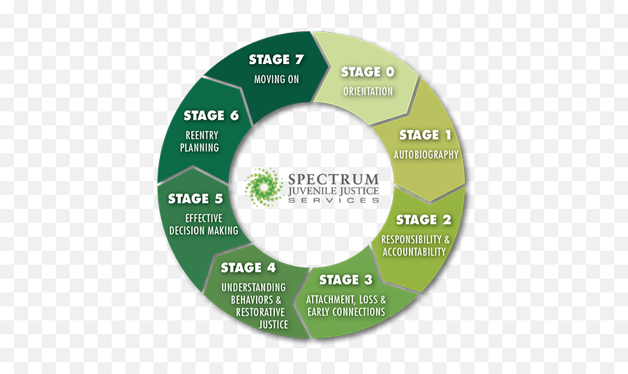 Spectrum Human Services - Sjjs Programs Emoji,Programming Emotion M15 Wheels