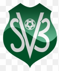 Suriname Football Logo Png - Suriname National Team Logo Emoji,Suriname Flag Emoji