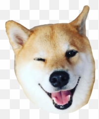 Shib Shibe Shibenation Sticker - Shiba Inu Guiño Emoji,Shibe Emoji
