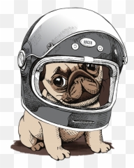Space Pug Cute Dog Astronaut Traveller - Dog In Space Cute Emoji,Astronaut Emoji Iphone
