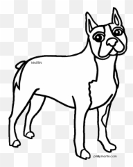 Clipart Panda - Free Clipart Images Ancient Dog Breeds Emoji,Boston Terrier Emoticons
