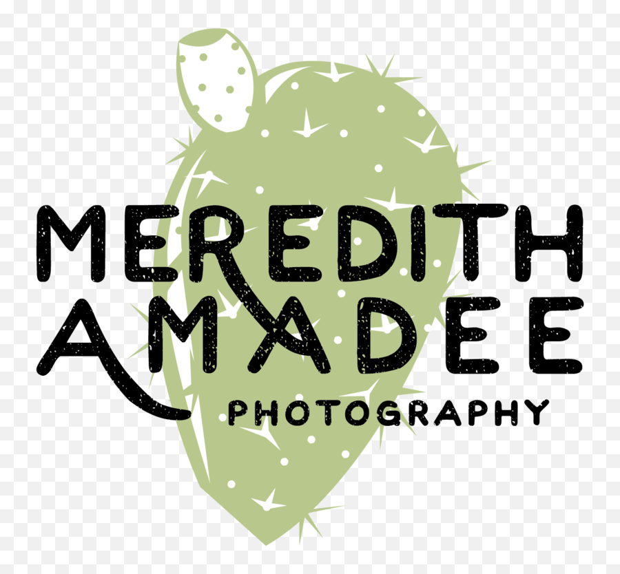 Testimonials U2014 Meredith Amadee Photography Emoji,Emotion Laid In Words