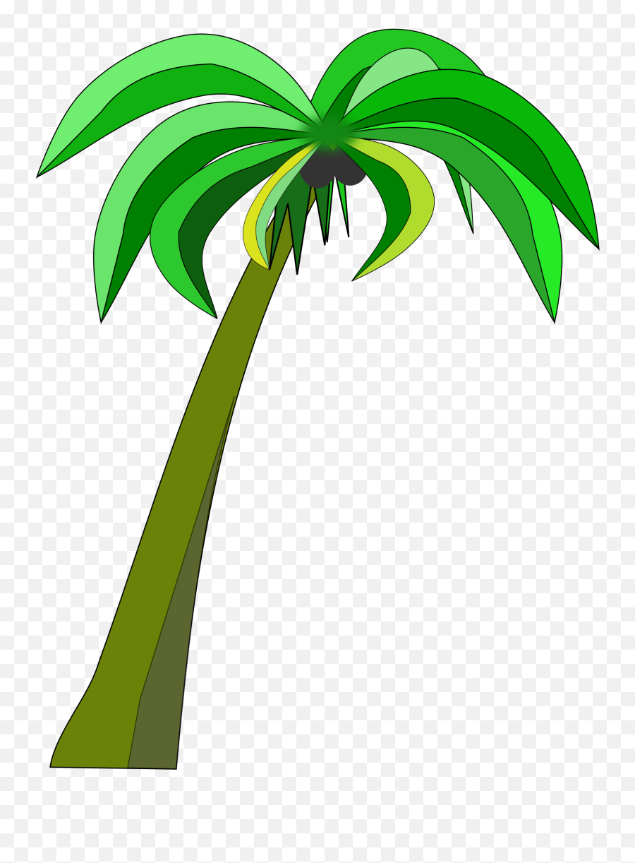 Download - Coconut Tree Palm Clipart Png Emoji,Coconut Tree Emoticon