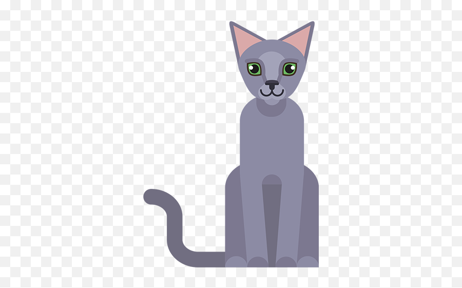 Alle Katteraser Anicura Norge - Domestic Cat Emoji,Emoji Orans