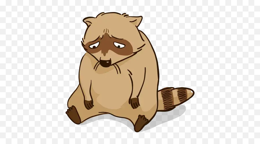 New Raccoon Whatsapp Stickers - Animal Figure Emoji,Raccoon Emoticon