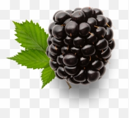 Blackberry Santu0027orsola Emoji,Blackberry Bold Emoticons