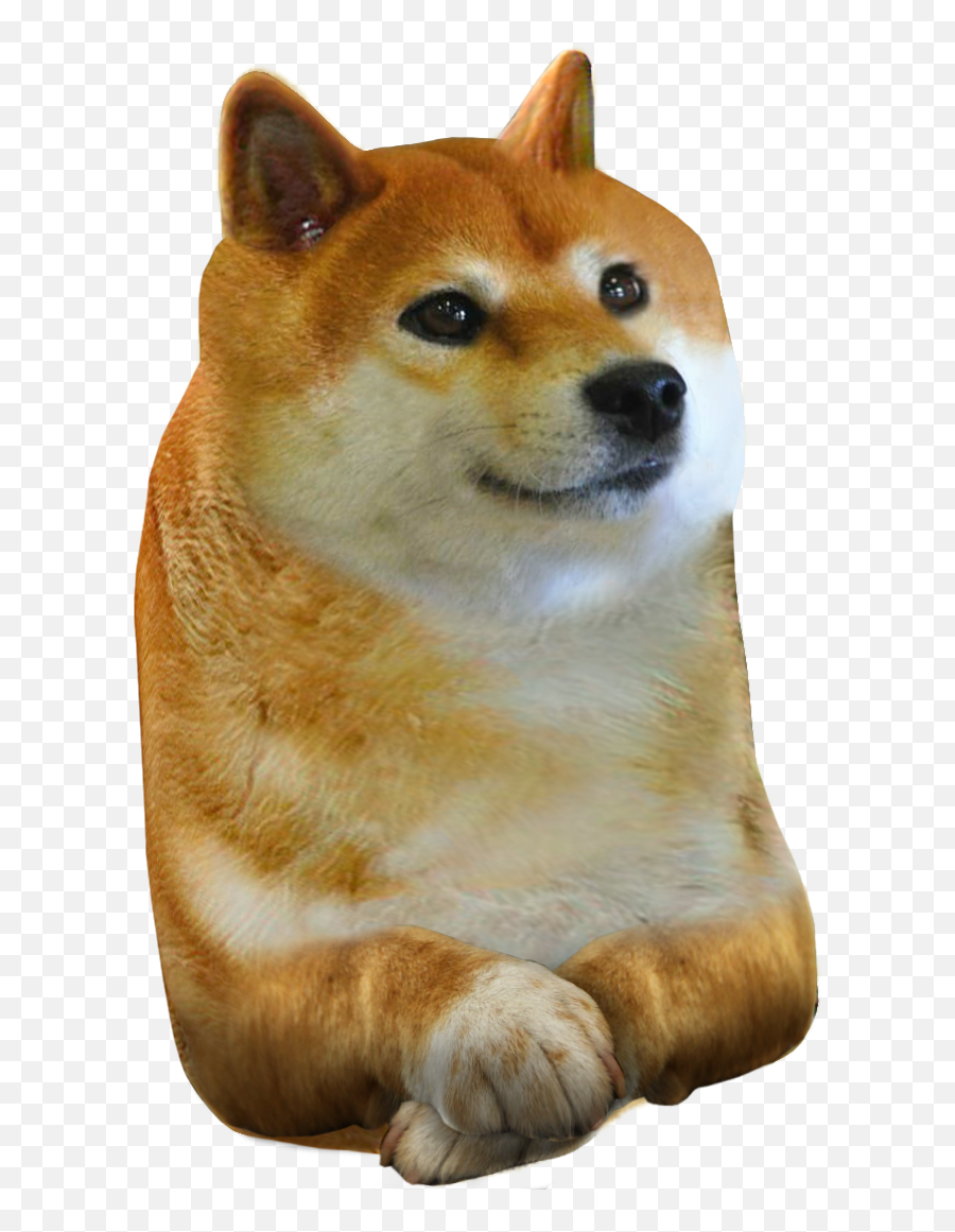 Hereu0027s Another Doge For The Community To Name Rdogelore Emoji,Loafing Emoticon