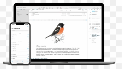 17 Best Notion Alternatives To Use In 2021 - Reviewed Emoji,Kiwi Slack Emoji