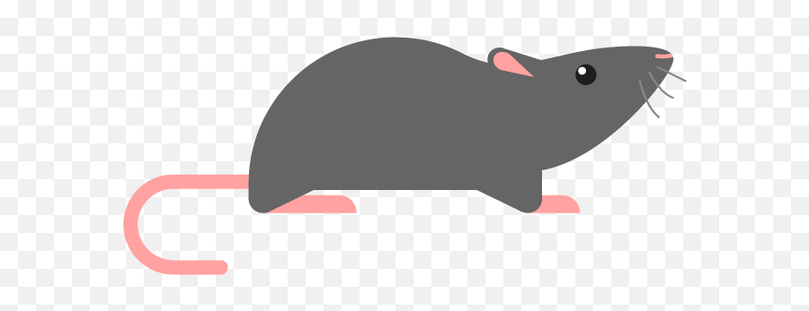 Covid - 19 Disinfection Services Emoji,Rat Emojii.