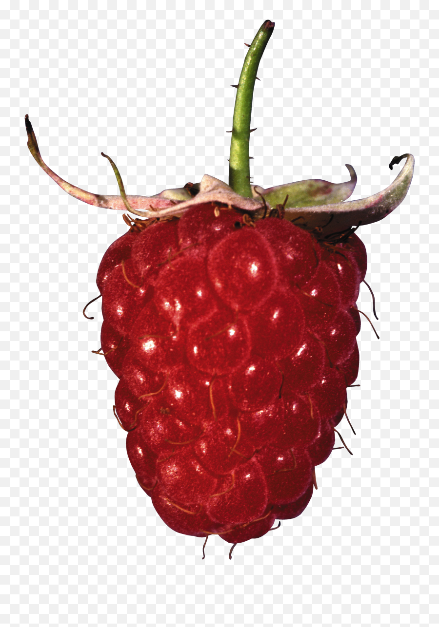 Rraspberry Png Image Resolution Emoji,Rasberry Emoji