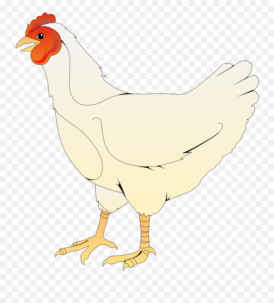 Chicken Png Svg Clip Art For Web - Gambar Gambar Ayam Betina Emoji,French Flag Chicken Emoji