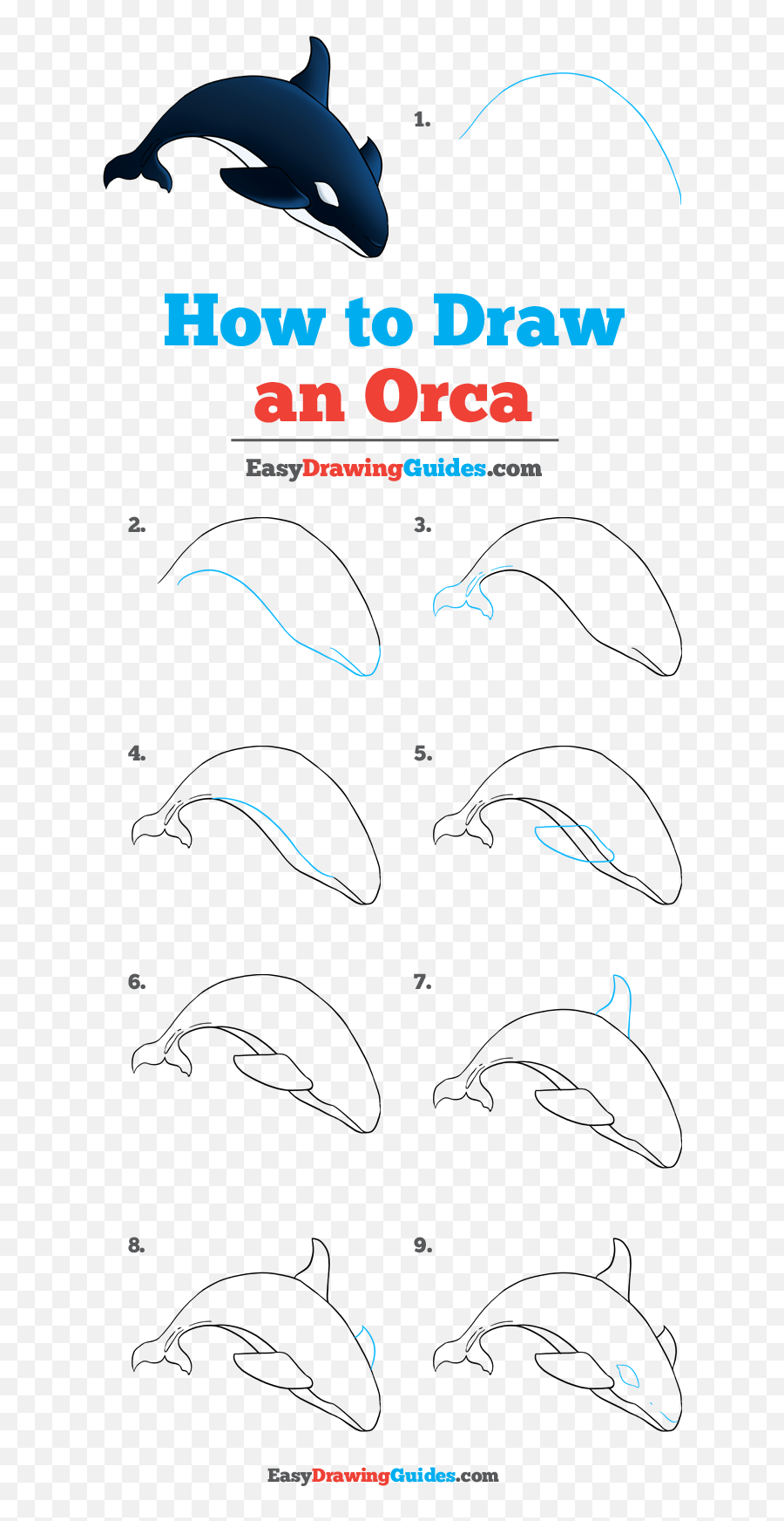How To Draw An Orca - Really Easy Drawing Tutorial Common Bottlenose Dolphin Emoji,Orcas Brain Emotions