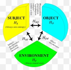 Quantum Decoherence In Brain Processes - Walt Disney Home Entertainment Emoji,Two Factore Theory Of Emotion