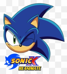 Arion D - Sonic X Png Logo Emoji,Animated Bethlehem Animals Emoticon
