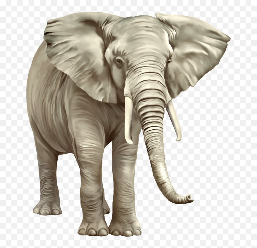 Elephant Png Image - Png Transparent Background Elephant Png Emoji,The Elephant Of Emotion