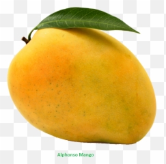 Single Mango Png Transparent Image - Yellow Mango Emoji,Transparent Mango Emoji