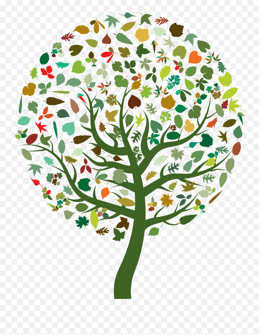 Stylized Tree Clip Art Image - Che Cos È La Biodiversita Emoji,Colorful Palm Trees With Emojis