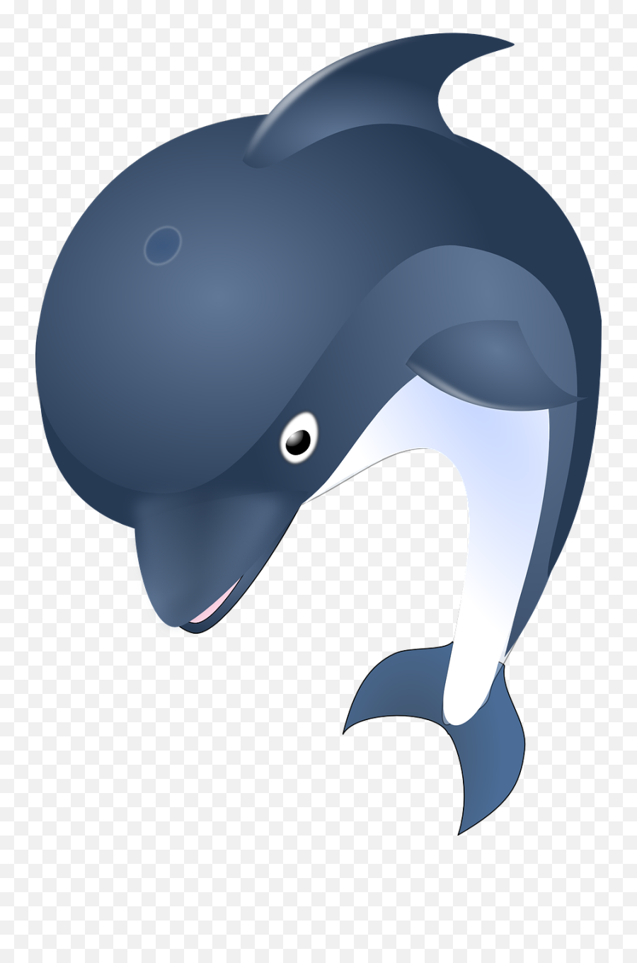 Free Photo Fish Sea Underwater Ocean Water Dolphin Fishing - Transparent Dolphin Clipart Emoji,Fish Emotions