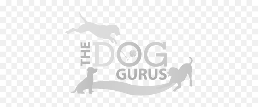 Meyeru0027s Pet Care - Chicago U0026 Rockfordu0027s 1 Choice For Boarding Emoji,Emojis For Take Your Dog To Work Day Meyeru0027s Pet Care - Chicago U0026 Rockfordu0027s 1 Choice For Boarding Emoji,Emojis For Take Your Dog To Work Day