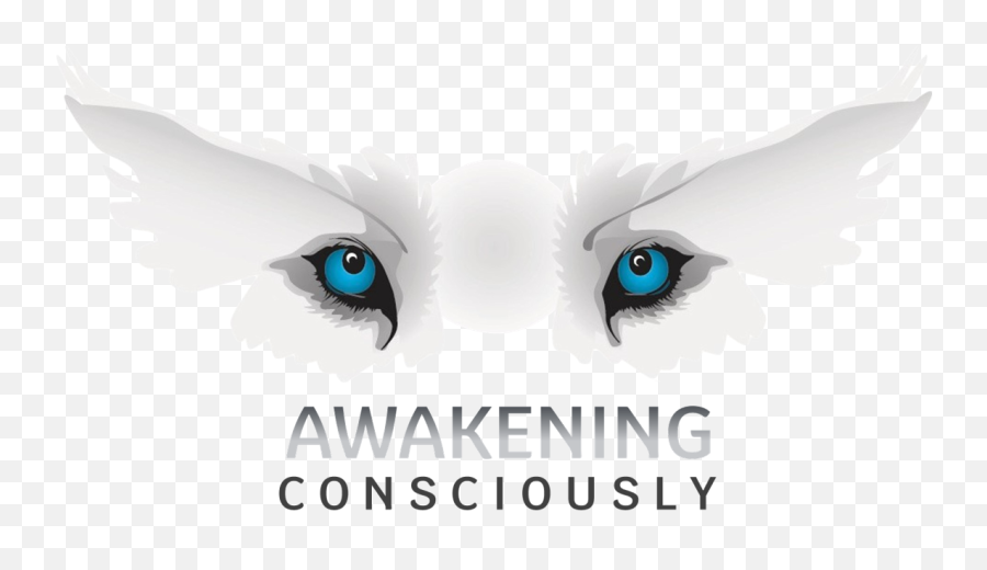 Program Awakening Consciously - Scary Emoji,Tail That Wags With Emotion