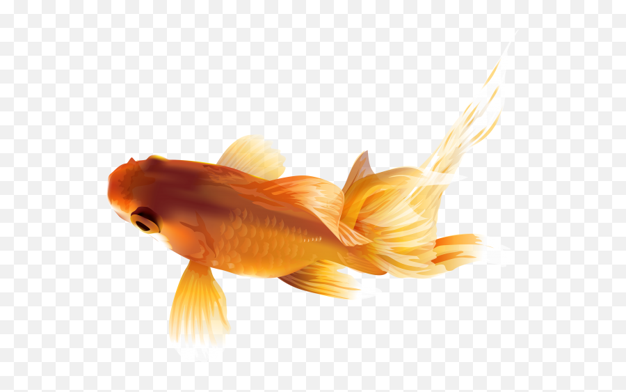 Tags - Fish Free Png Images Starpng Emoji,Goldfish Emoji