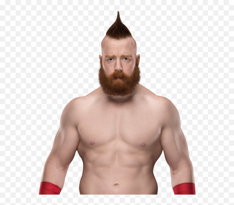 Wrestler Picture Requests - Page 697 Requests Ewb Sheamus 2019 Wwe Png Emoji,Wrestler Emoji