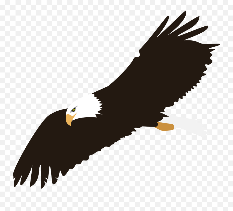 Free Eagle Soaring Png Download Free - Bald Eagle Clip Art Emoji,American Eagle Emoji