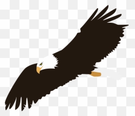 Free Eagle Soaring Png Download Free - Bald Eagle Clip Art Emoji,American Eagle Emoji