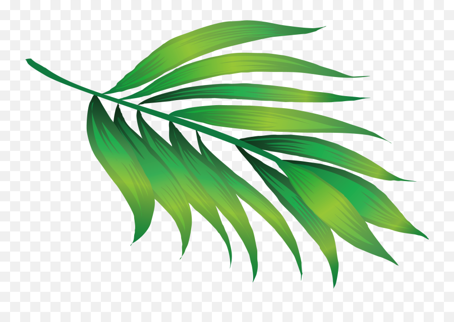 Green Leaf Icon Png - Leaf Plant Stem Plant Png Image With Hawaii Leaf Emoji,Leaves Emoji Png