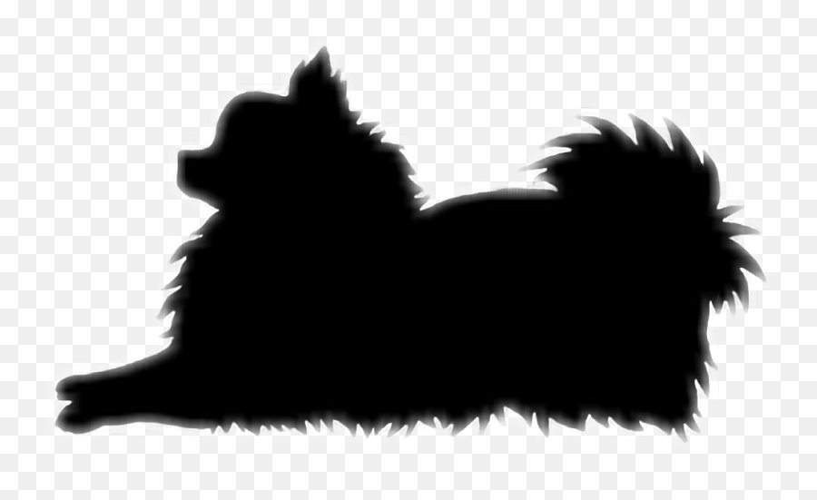 Silhouette Pomeranians A Closer Look At The Pomeranian - Dog Pomeranian Silhouette Emoji,Vetor Emotion