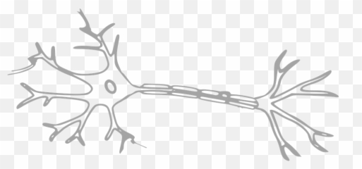 Test Deg Selv I Hodeskader - Neuron Clipart Emoji,Huaji Emoji