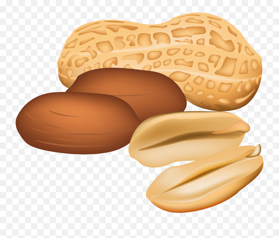 Peanut Clipart Nut Free Clip Art Stock Illustrations Jpg - Peanut Nuts Clipart Emoji,Peanut Emoji