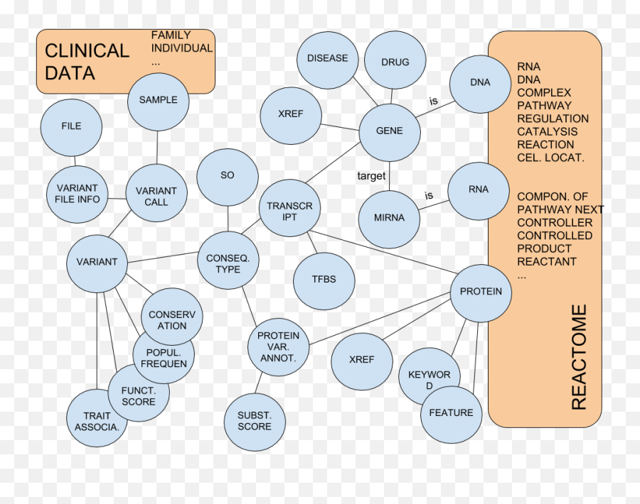 Data Model - Bionetdb Opencb Emoji,Emoticon Dna Strand