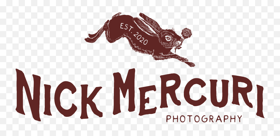 Nick Mercuri Photography Wedding Photographers - The Knot Emoji,A Mothers Hug Animal Emotions Book