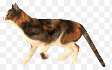 Sleepy Kitten Emoji,Cat Moving Emojis
