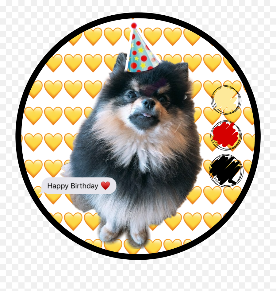 Sticker - Kim Yeotan Emoji,Sheltie Emoji