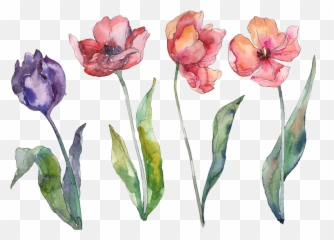 Flores Acuarela Sticker - Watercolor Tulip Emoji,Acuarela Emojis