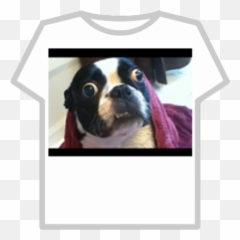 Roblox Codes - Page 1251 Photographic Paper Emoji,Boston Terrier Emoticons