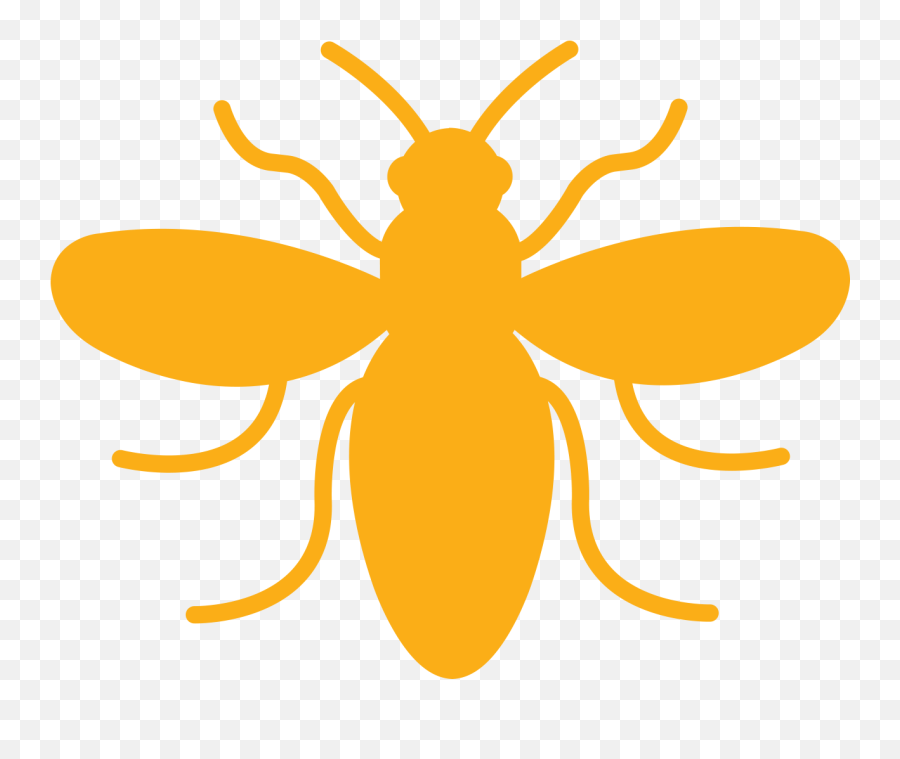 Call For Abstracts - Manchester Bee Emoji,The Word Emotions Absract