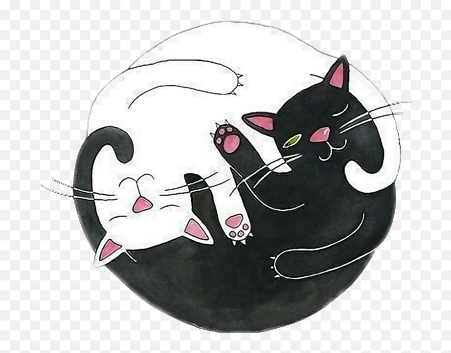 Yingyang Cats Gatos Cat Gato Sticker By Evee Carrizo - Black Cat Emojis,Cats Emoji