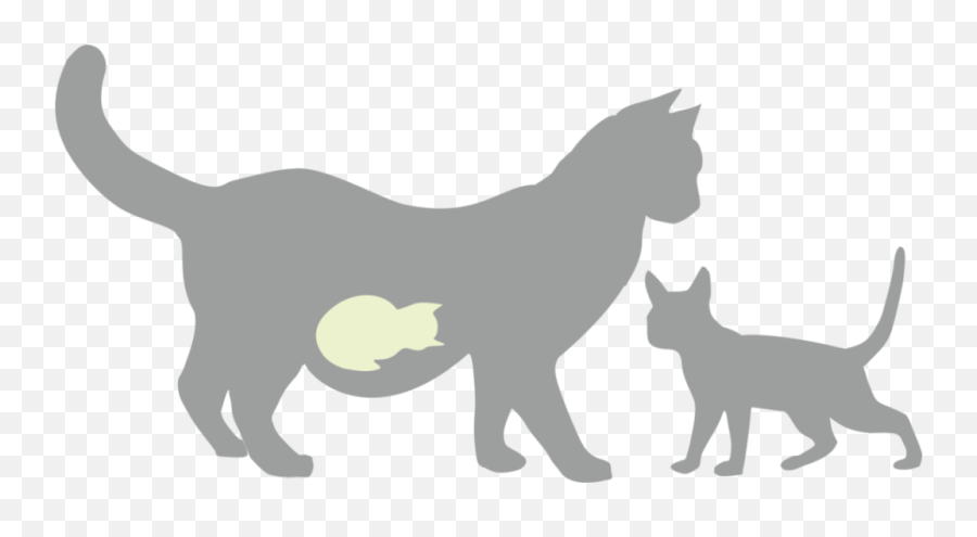 Pregnant Cat Here Are The Most Important Factors To - Cat Giving Birth Emoji,Cat Ass Emoticon