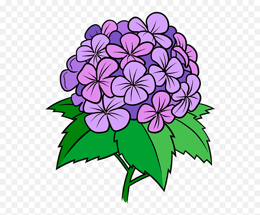 How To Draw A Hydrangea Flower - Really Easy Drawing Tutorial Emoji,Emotion Flower Worksheet