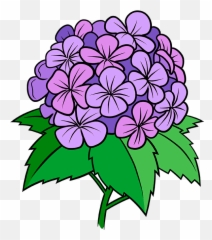 How To Draw A Hydrangea Flower - Really Easy Drawing Tutorial Emoji,Emotion Flower Worksheet