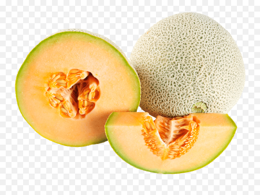 Melon Sticker - Melon Png Emoji,Cantaloupe Emoji