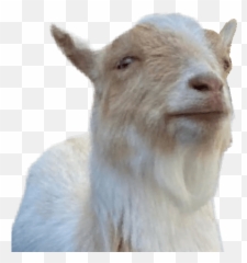 Goat Emoji,Goat Emojis