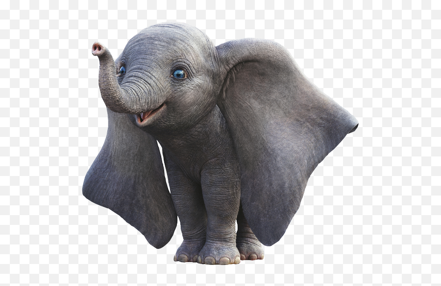 The Most Edited Dumbo Picsart Emoji,Dumbo Emoticon