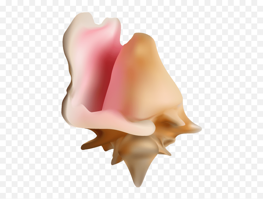 Conch Shell Emoji Vector U2022 Hugh Galloway - Vertical,Emoji Vector