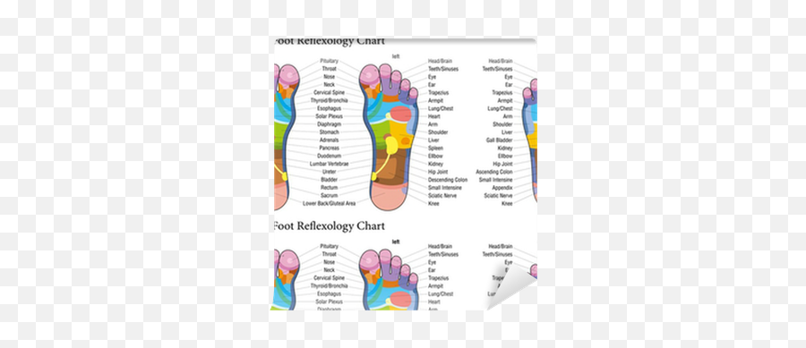 Foot Reflexology Chart Description Wallpaper U2022 Pixers - We Live To Change Lower Back Pain Pressure Points In Feet Emoji,Reflexology Heel Emotions