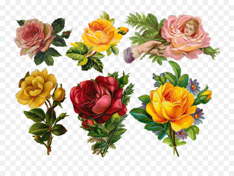 Free Photo Leaves Collage Roses Flowers Petals Bouquet - Max Ramo De Flores Para Collage Emoji,Abstract Collage Of Different Emotions