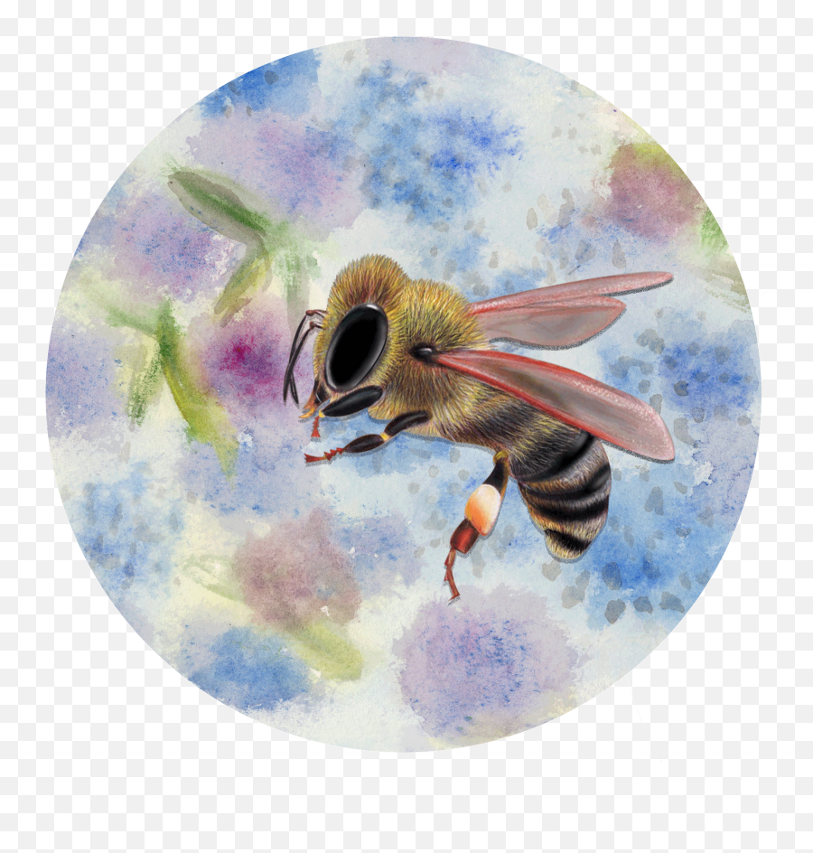 Episode 11 U2014 Kidsu0027 Poetry Club - Africanized Bee Emoji,Giphy I'm In A Glass Cage Of Emotion Episode 11 U2014 Kidsu0027 Poetry Club - Africanized Bee Emoji,Giphy I'm In A Glass Cage Of Emotion